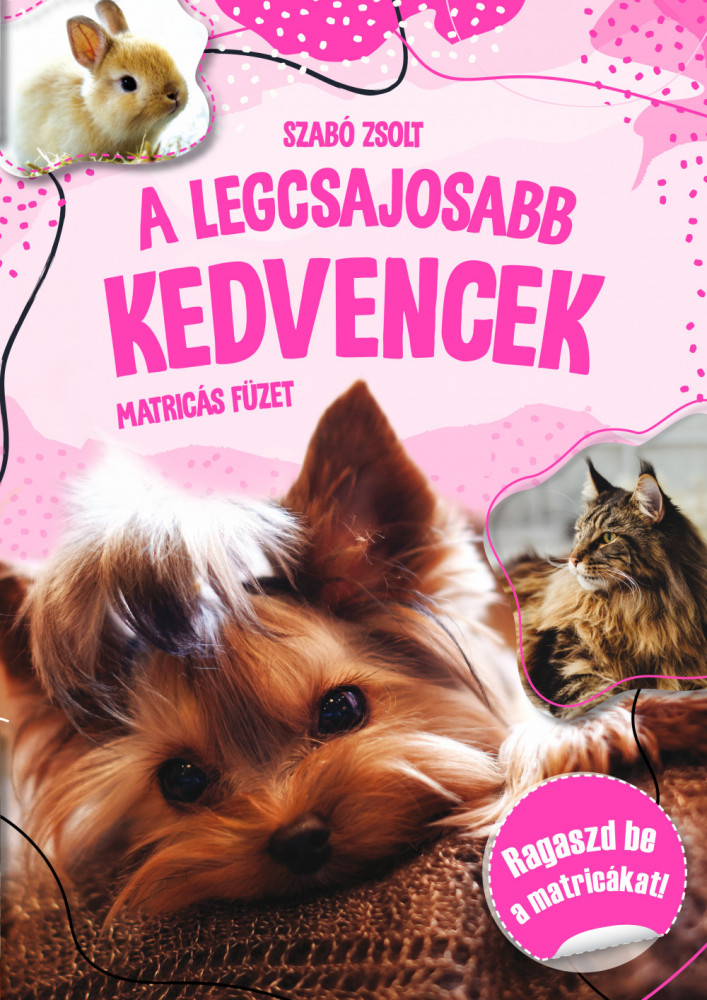 A legcsajosabb kedvencek-matricás füzet akciós termékkép 1