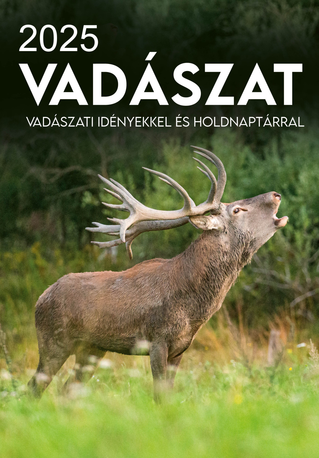 2025 Naptár: Vadászat akciós termékkép 1