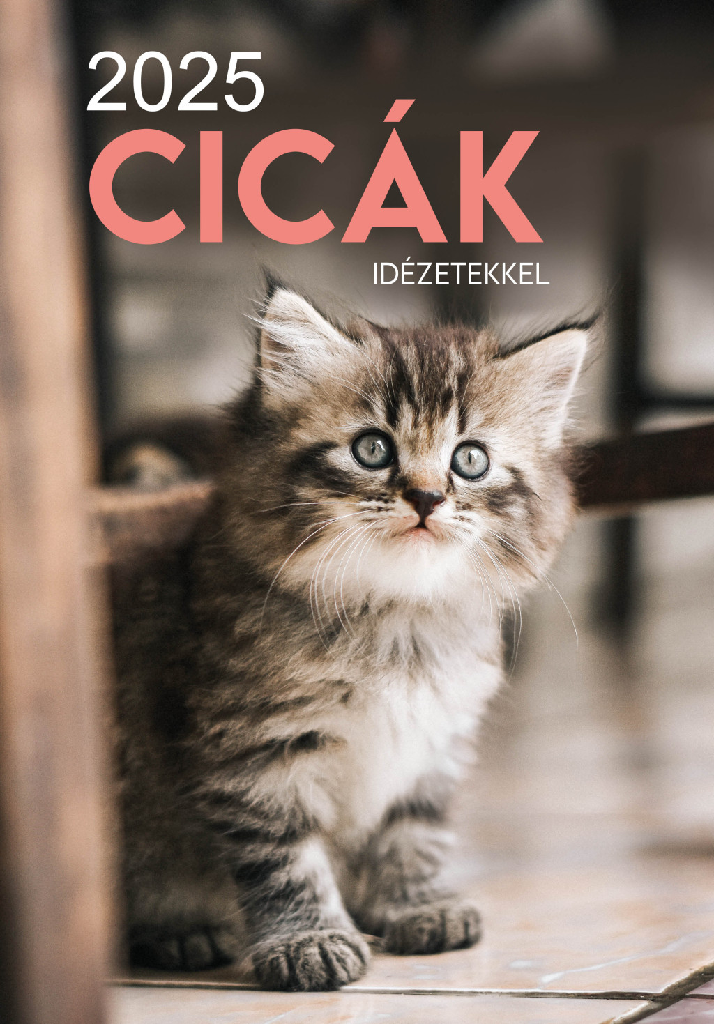 2025 Naptár: Cicák akciós termékkép 1