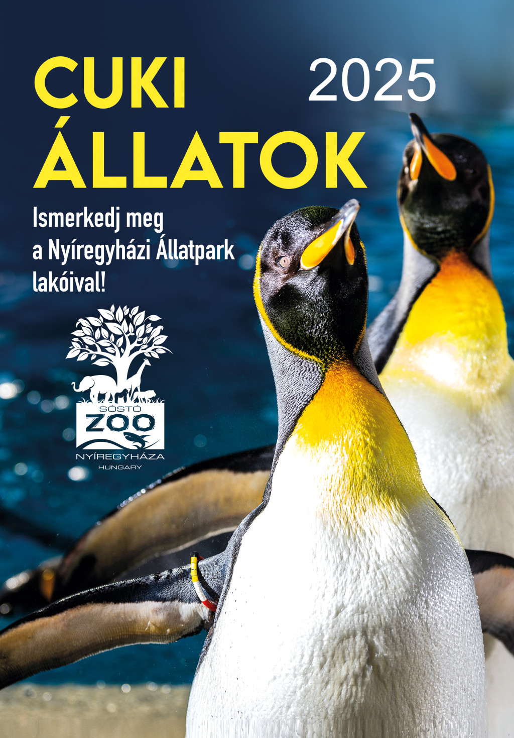2025 Naptár: Cuki állatok akciós termékkép 1