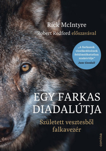 Rick Mcintyre - Egy farkas diadalútja - Született vesztesből falkavezér akciós termékkép 1