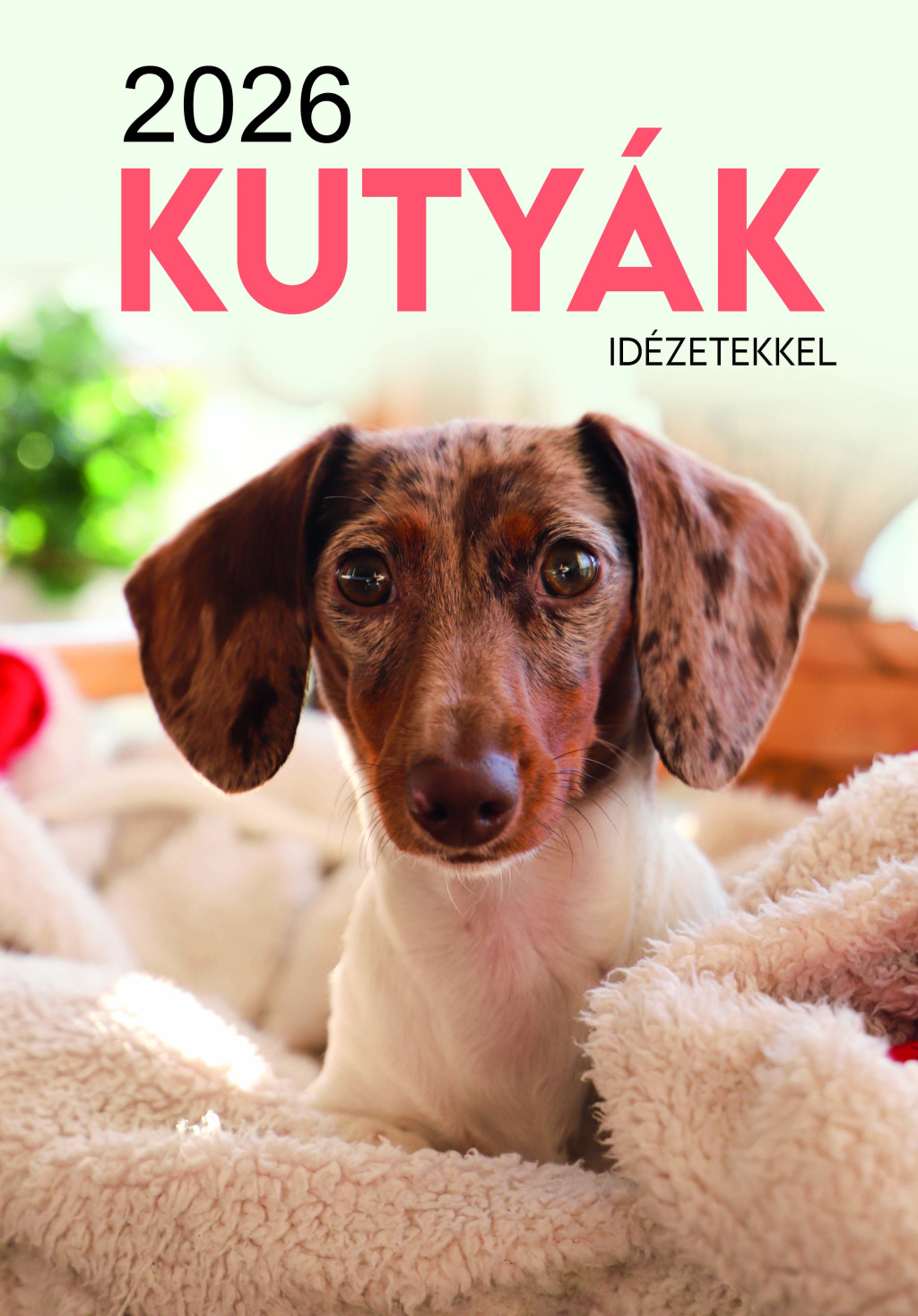 2026 Naptár: Kutyák akciós termékkép 1