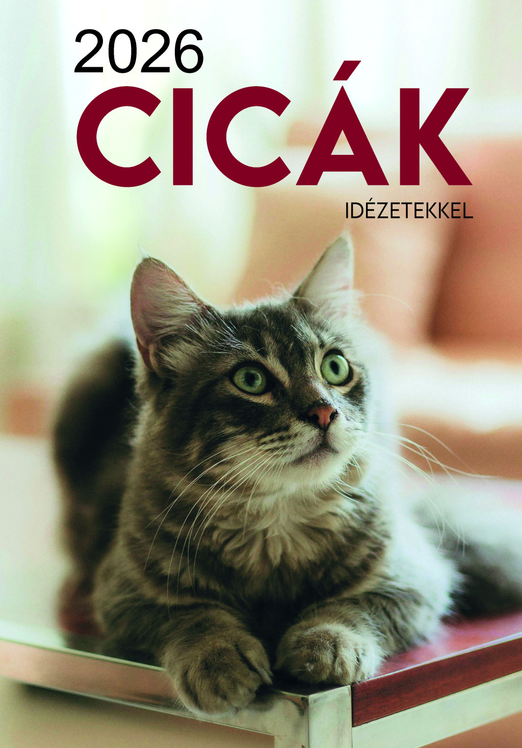 2026 Naptár: Cicák akciós termékkép 1