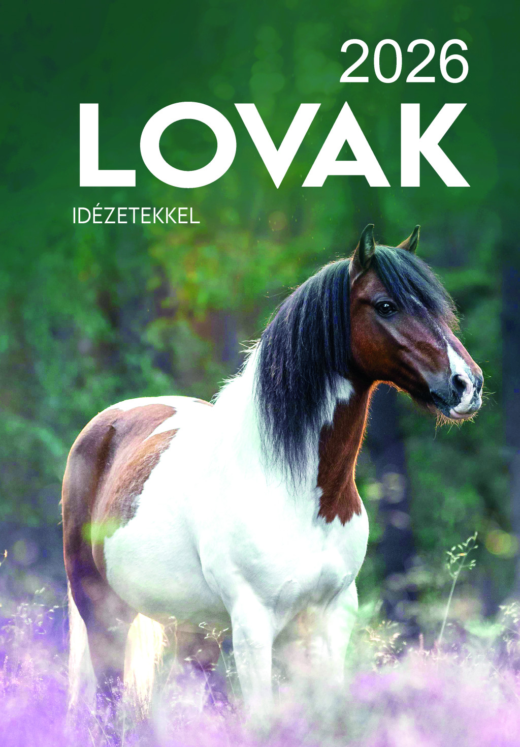 2026 Naptár: Lovak akciós termékkép 1